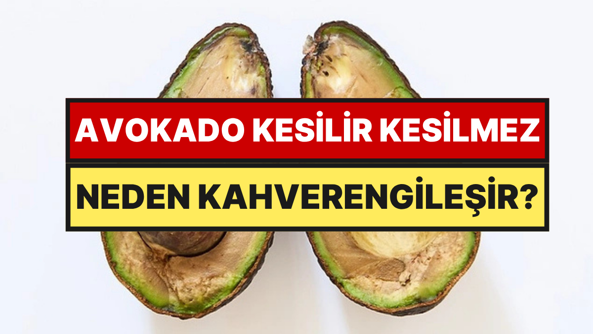 Araştırmalara Göre Avokadonun Kararmasını Durduran %80 Etkili Yöntem