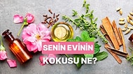 Senin Evinin Kokusu Ne?
