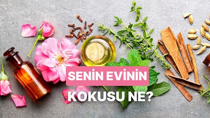 Senin Evinin Kokusu Ne?