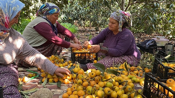 Bahçedeki güncel fiyatlar ise şöyle: