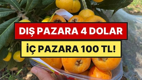 Hasadı Başladı: Kanada, Dubai, Toronto’da 4 Dolara Satılıyor, Türkiye'de 100 TL
