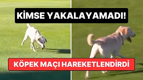 Kimse Yakalayamadı! Rosario Central ve Tigre Maçı Esnasında Sahaya Atlayan Köpek Tribünleri Şenlendirdi
