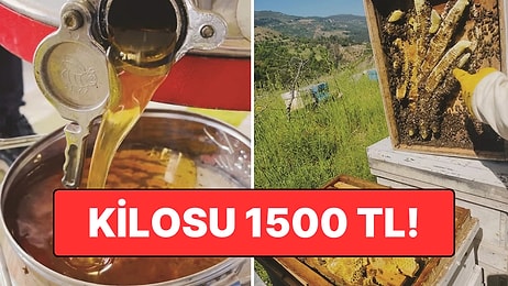 Kilosu 1500 TL'den Satılıyor! Sezonun İlk Ürünleri Hasat Edildi