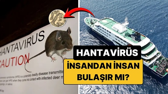Hantavirüs Nedir? İnsandan İnsana Bulaşır mı? İşte MV Hondius Gemisindeki Hantavirüs Salgınının Detayları