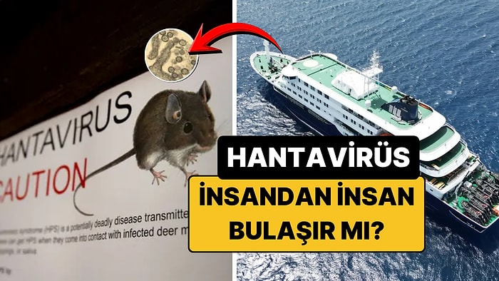 Hantavirüs Nedir? İnsandan İnsana Bulaşır mı? İşte MV Hondius Gemisindeki Hantavirüs Salgınının Detayları