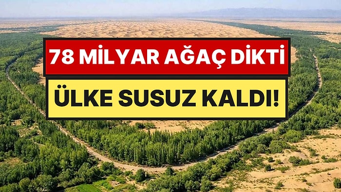 Çölleşmeyi Durdurmak İçin 78 Milyar Ağaç Dikti, Ülkenin Suyunu Bitirdi