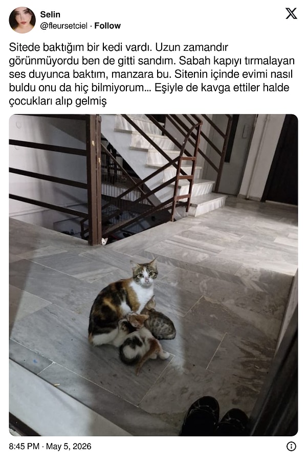 Minik bir detay da var.