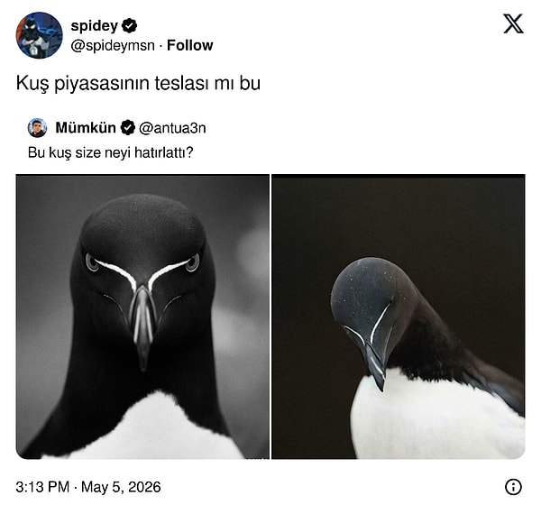 Kapatalım 👋