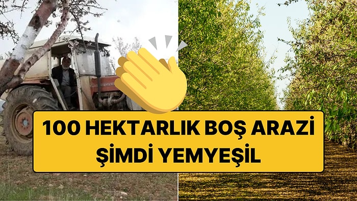 Traktöre Bile Binmemişti: Emekli Doktor Atıl Durumdaki 100 Hektar Araziyi Tek Başına Yeşertti!