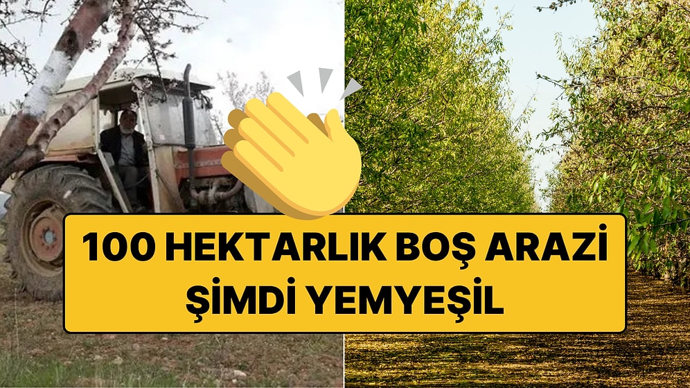 Traktöre Bile Binmemişti: Emekli Doktor Atıl Durumdaki 100 Hektar Araziyi Tek Başına Yeşertti!