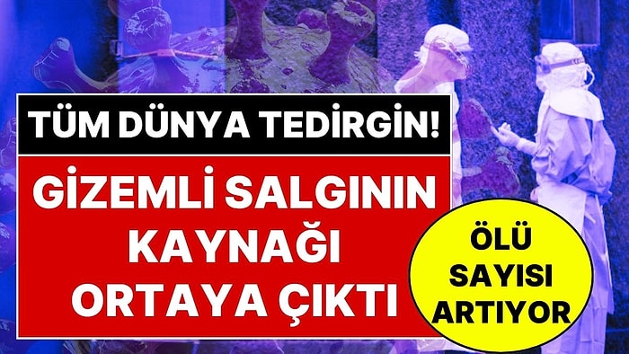 İnsandan İnsana Bulaşan Virüs! Tüm Dünyayı Korkutan Gemideki Gizemli Salgının Kaynağı Belli Oldu