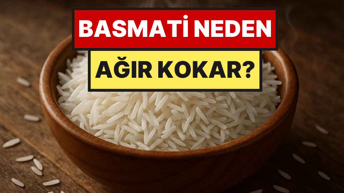 Basmati Pirincindeki O Hayvansal Kokunun Nedeni Ortaya Çıktı
