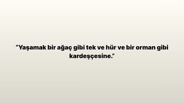 4. Bu söz kimin sözüdür?