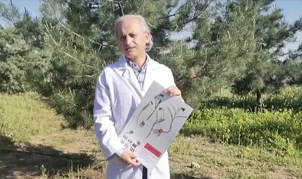 Uluslararası Doğa ve Yaşam Bilimleri Dergisi’nde (IJNLS) yayımlanan makale ile tescillenen çiçeğe iki isim verildi: