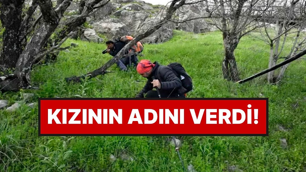 Türkiye’de Yeni Bir Ters Lale Türü Ortaya Çıktı, İki Arkadaş Yürüyüş Yaparken Fark Etti
