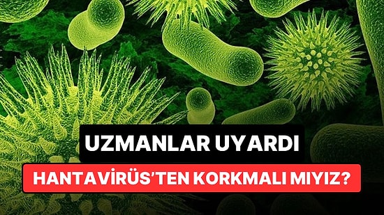 Uzmanlar Hantavirüs Konusunda Açıklama Yaptı: Endişelenmeli miyiz?