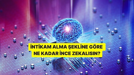İntikam Alma Şekline Göre Ne Kadar İnce Zekalısın?