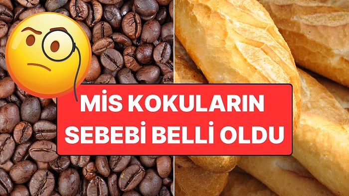 Kahve, Çekirdek ve Nicesi! Neden Yiyecekler Kavrulurken 'Müthiş' Kokar?