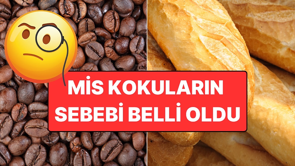 Kahve, Çekirdek ve Nicesi! Neden Yiyecekler Kavrulurken 'Müthiş' Kokar?