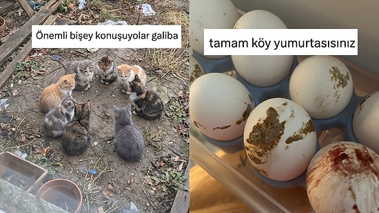 Günlük Hayatta Karşılaştıkları Manzaralardan Mizah Çıkaran Kişiler