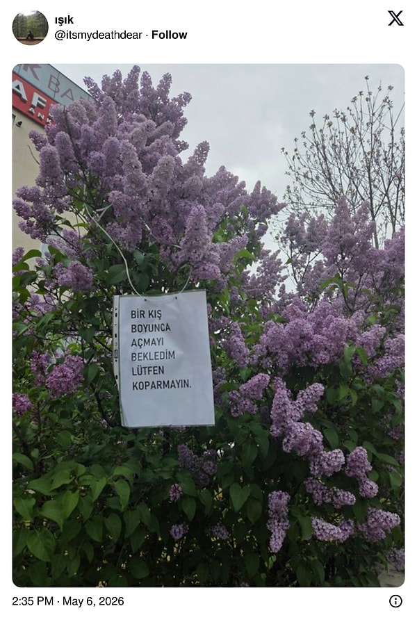 Anlamlı...