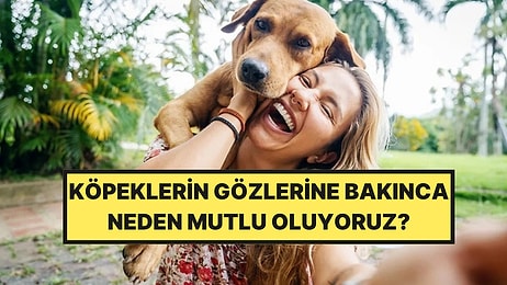 Köpeklerin Gözlerine Bakınca Neden Mutlu Oluyoruz?