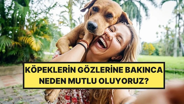 Köpeklerin Gözlerine Bakınca Neden Mutlu Oluyoruz?
