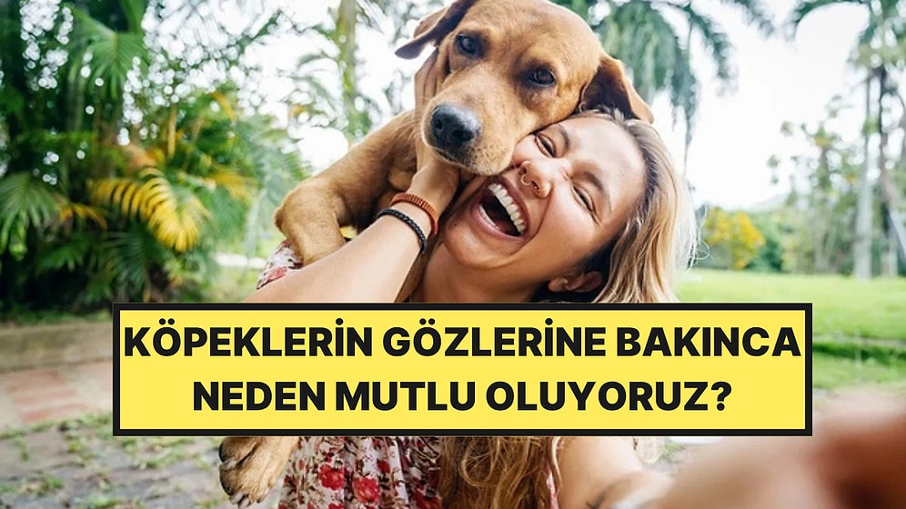 Köpeklerin Gözlerine Bakınca Neden Mutlu Oluyoruz?
