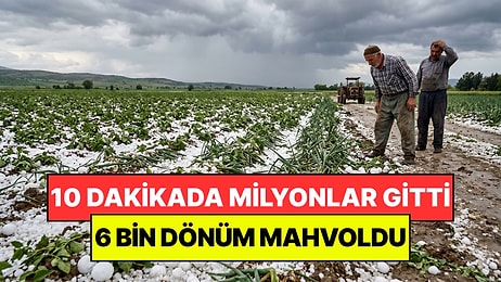 Sadece 10 Dakikada Milyonlar Kaybettiler: 6 Bin Dönümlük Hasat Mahvoldu