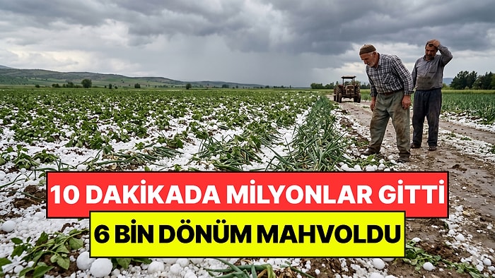 Sadece 10 Dakikada Milyonlar Kaybettiler: 6 Bin Dönümlük Hasat Mahvoldu