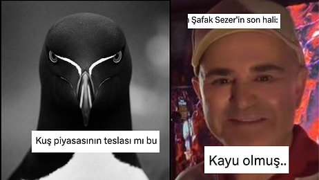 Her Ne Yapıyorsanız Bırakıp Okumanız Gereken Haftanın En Komik Tweetleri