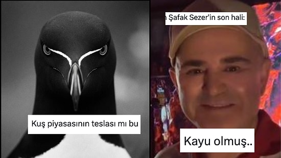 Her Ne Yapıyorsanız Bırakıp Okumanız Gereken Haftanın En Komik Tweetleri