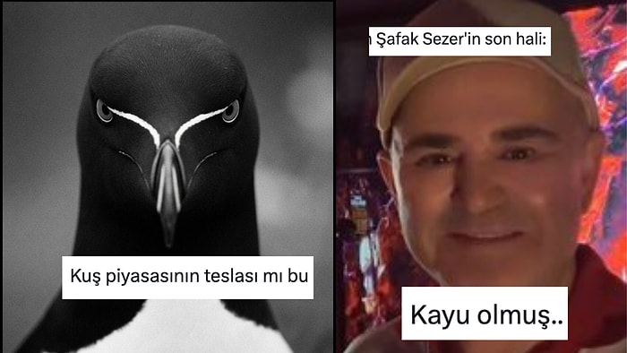 Her Ne Yapıyorsanız Bırakıp Okumanız Gereken Haftanın En Komik Tweetleri