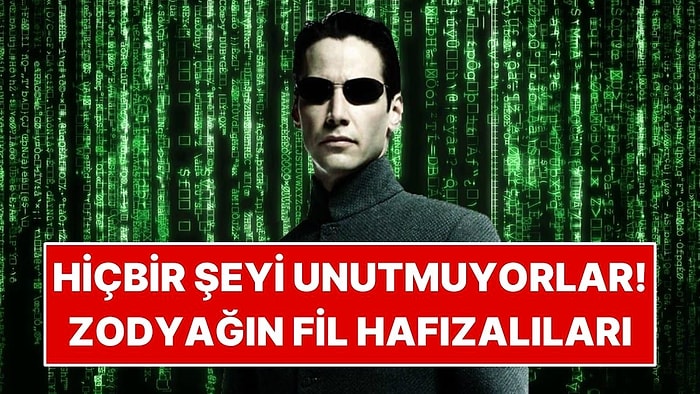 Astrolojiye Göre Hiçbir Şeyi Unutmayan İnsanların Doğduğu Aylar