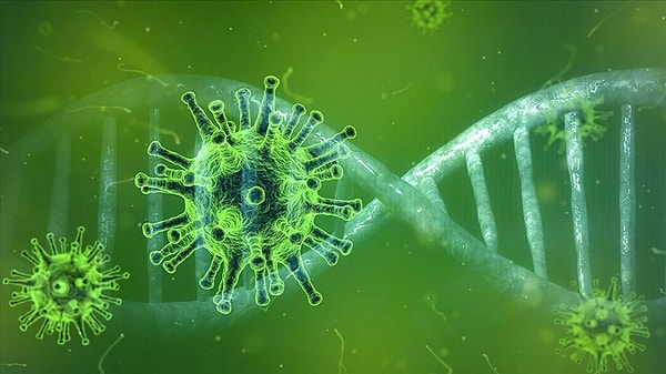 The emergence of Hantavirus cases has sparked concern within the community.