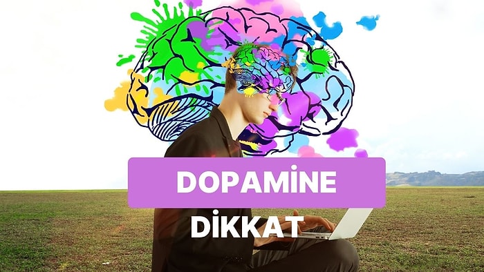 Nöroekonomi Nedir? Finansal Kararlar Alırken Beynimizdeki Dopamin Nasıl Kontrol Edilir?