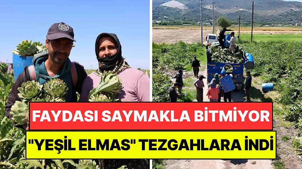Türkiye'nin "Yeşil Elması" Tezgahlara İndi: Faydası Saymakla Bitmiyor