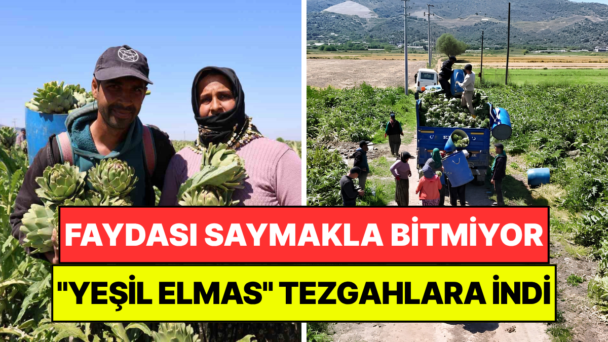 Türkiye'nin "Yeşil Elması" Tezgahlara İndi: Faydası Saymakla Bitmiyor
