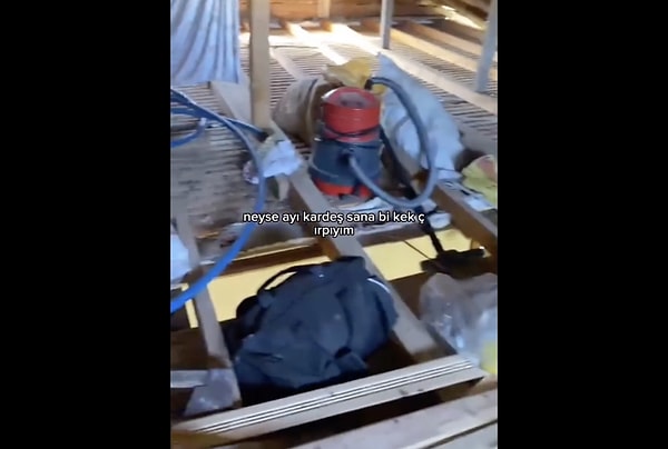 Peki yayla evini vahşi hayvan saldırılarından korumak için ne yapmak gerekiyor?