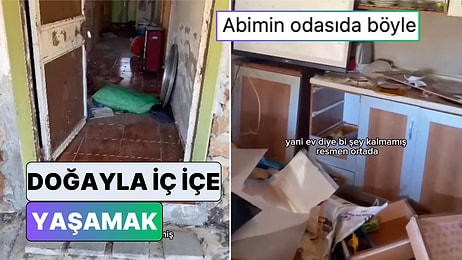 Savaş Alanı Gibi: Yayla Evine Ayı Giren Kadın Evinin Son Halini Paylaştı