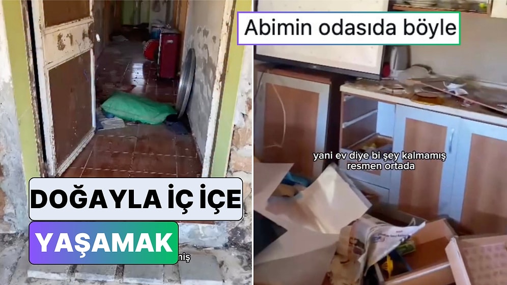 Savaş Alanı Gibi: Yayla Evine Ayı Giren Kadın Evinin Son Halini Paylaştı