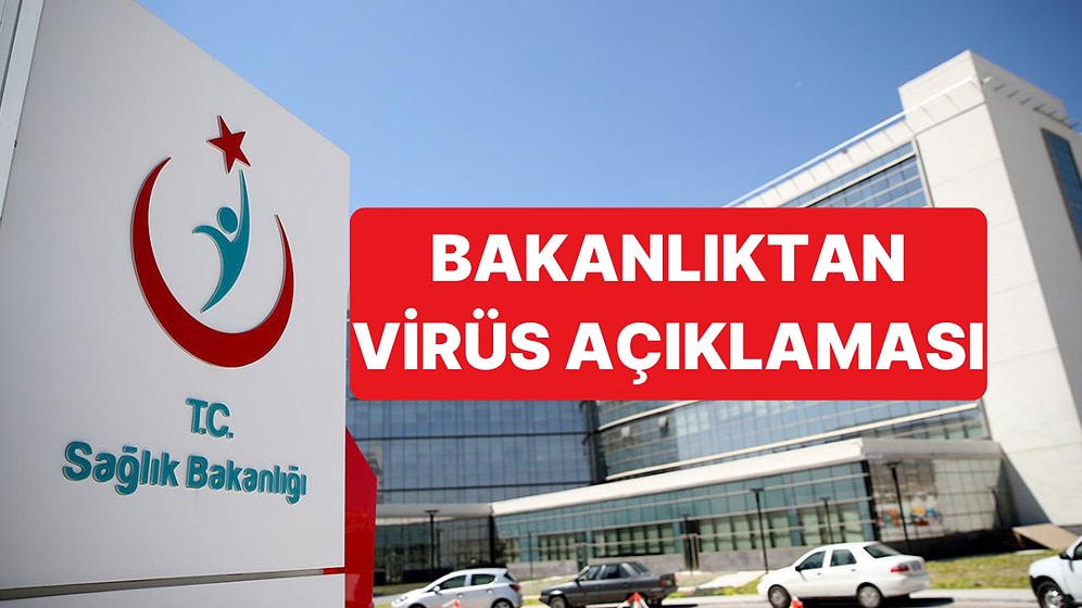 Sağlık Bakanlığı Hantavirüsü Görülen Gemideki 3 Türk'te Virüs Semptomu Bulunmadığını Açıkladı