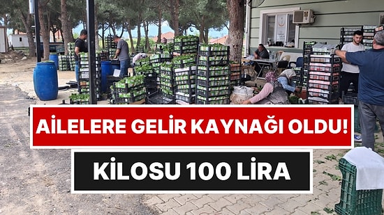 Sabah Topluyorlar, Günlük 3 Bin Lira Kazanıyorlar