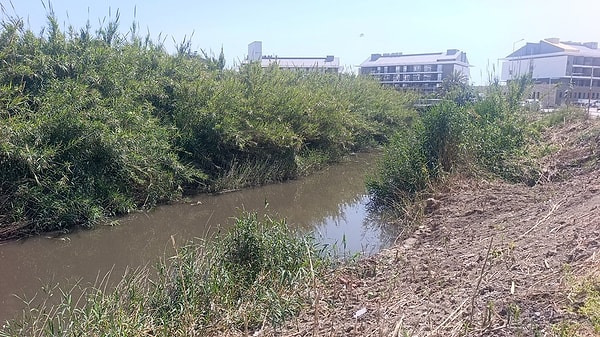 Manavgat Kaymakamı Adil Karataş, kirlilikle ilgili gerekli tespitlerin yerinde yapıldığını açı.
