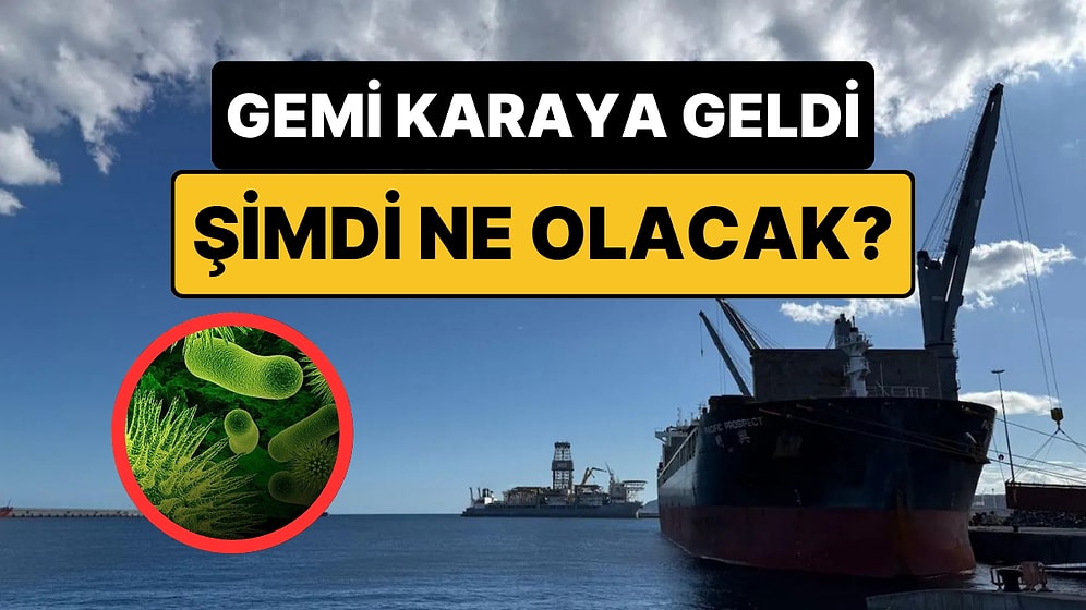 Hantavirüs Şüphesi Taşıyan MV Hondius Gemisi Kanarya Adaları’na Ulaştı: Şimdi Ne Olacak?