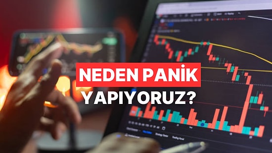 Panik Satışının Anatomisi: Beynimiz Piyasa Düşerken Bize Ne Söylüyor?