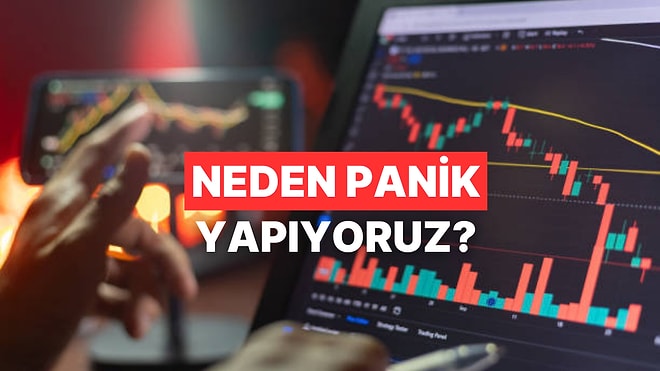 Panik Satışının Anatomisi: Beynimiz Piyasa Düşerken Bize Ne Söylüyor?