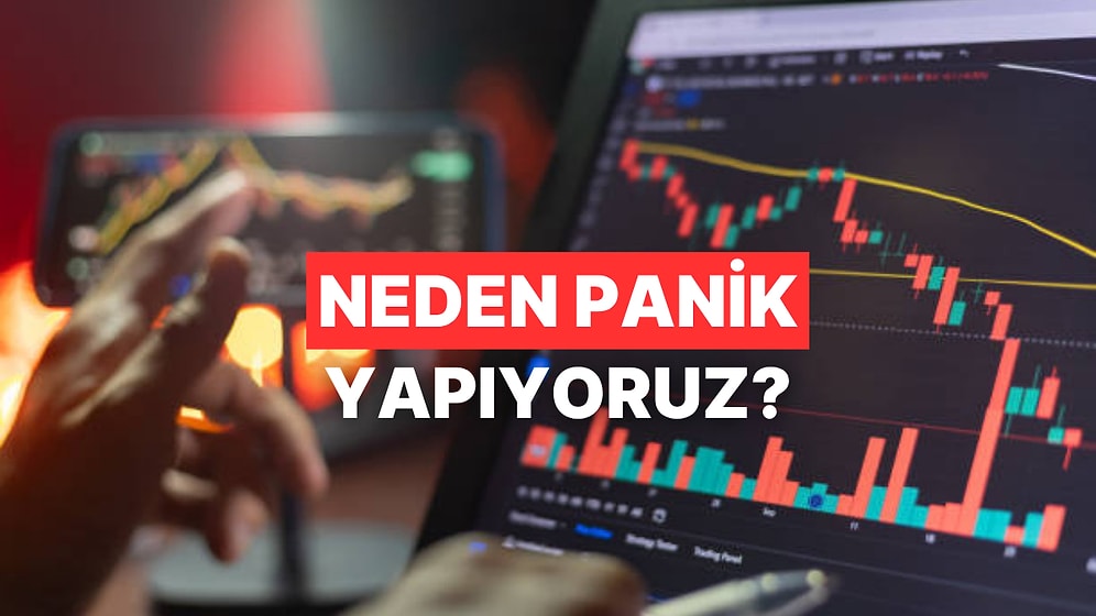 Panik Satışının Anatomisi: Beynimiz Piyasa Düşerken Bize Ne Söylüyor?