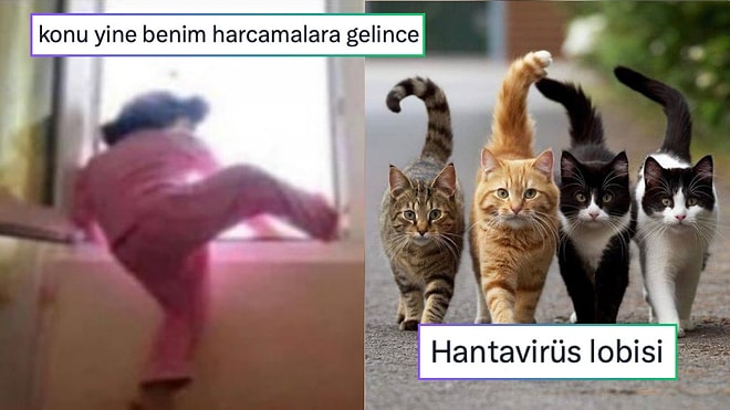 Pazarcı Abilerin Yaptığı Kombinlerden Kedilerden Oluşan Hantavirüs Lobisine Son 24 Saatin Viral Tweetleri