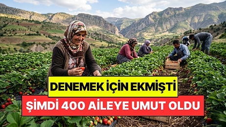 18 Yıl Önce Sadece Denemek İçin Ekti: Şimdi 400 Ailenin Geçim Kaynağı
